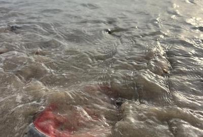 Casă cu 4 camere cu Teren 500 Mp în Central - 4