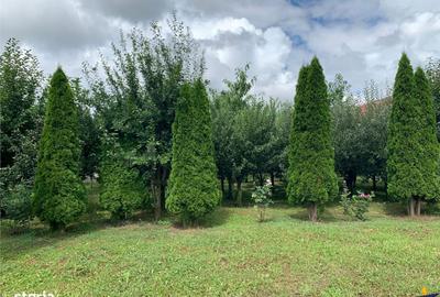 Spațiu comercial, în Sântana de Mureș - 3