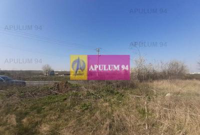 Teren Construcții intravilan de 4800 mp, în Glina - 20
