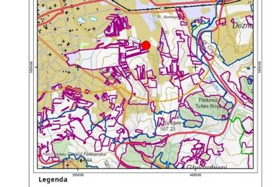 Teren Construcții intravilan de 8000 mp, în Sopor - 1