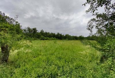 Teren de 18645 mp, în Sântămăria de Piatră - 3