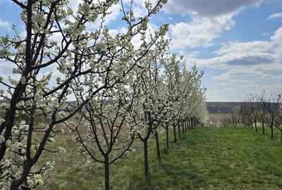 Spațiu comercial, în Central - 2