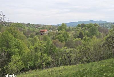 Teren de 3000 mp, în Albești - 2