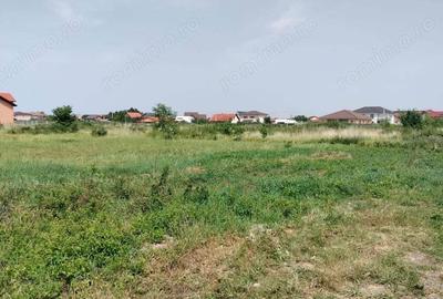 Vand 2 terenuri in Mosnita Noua in spate la Mcity - 3