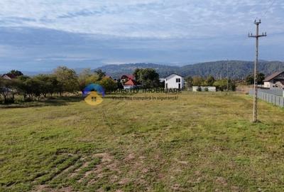 Teren de vanzare 1800 mp – Dumbrava Rosie - 12