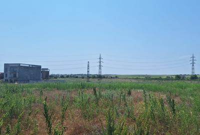 EFORIE NORD  TEREN DE 1.666 MP PRET 135.000 EURO - 6