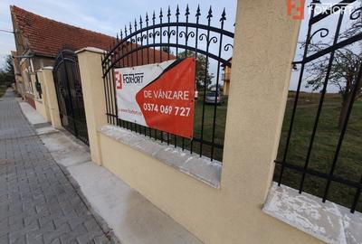 Casa cu 5 camere, 236 mp, teren 5805 mp, Brestea - Denta - 42