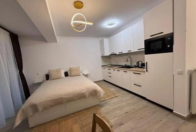 Garsonieră semidecomandată, mobilată în Valea Alba - 6