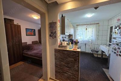 Apartament 3 camere complet renovat etaj 2 Deva, Str. Nicolae Balcescu (langa Panaur) - 5