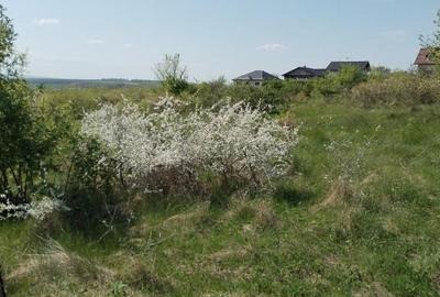 Teren 680mp Valea Adanca Joldea Voda Miroslava - 8