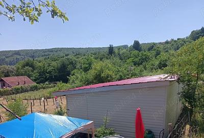 Casă cu 2 camere cu Teren 1400 Mp în Tutana - 2