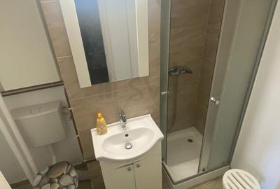 Apartament cu 1 camere decomandat, mobilat în P-ța Victoriei - 9