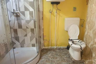 Casă cu 2 camere în Beliu - 6