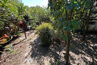 Casa cu teren 1394 mp zona Mehala - 2