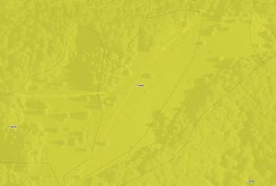 Teren de 14500 mp, în Poienile-Mogoș - 2