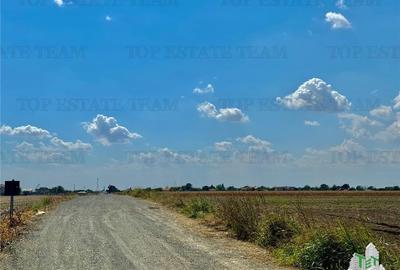 Teren de vanzare lotizat la padure cu utilitati in Frumusani / Calarasi - 4