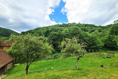 Casa deosebita \ vanzare \ Marginimea Sibiului \ Fantanele - 1