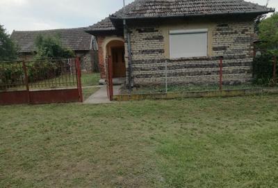 Ag BRASADAS vinde casa cu 3 cam si teren 5000mp în HOREA. - 2