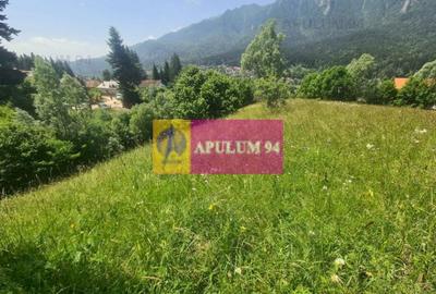 Teren de vânzare în Bușteni - Zona Zamora - 13