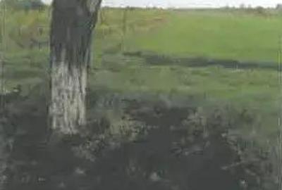 Teren extravilan Pietroasele, ID: R2586802 - 4