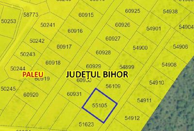 Teren de 1000 mp, în Săldăbagiu de Munte - 1