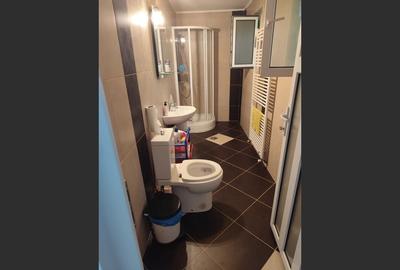 Vila superba 7 camere, Provita de Jos, 22.000 mp teren - 8