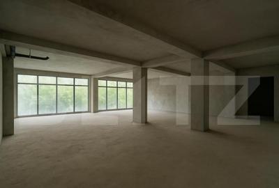 Spatiu comercial, 123 mp, zona Calea Baciului - 6