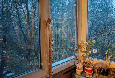 Teiul Doamnei Doamna Ghica 4 camere 87 mp , pret 139000eur - 12