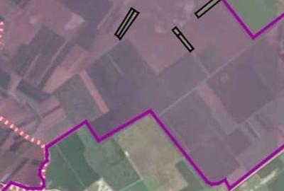 Vanzare  Teren Extravilan Afumati  12,8 Hectare (3eur/mp) - 3