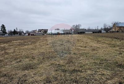 Casă individuală cu 12 camere cu Garaj în Siminicea - 33