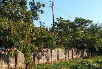 Teren de 4735 mp, în Unirea - 5