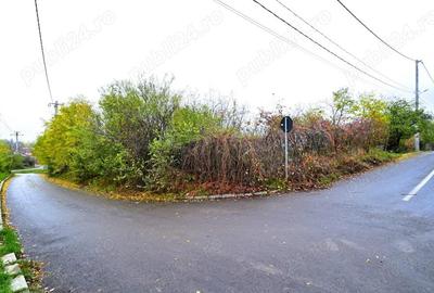 Vanzare teren de colt 682mp Strada Dealului nr.1 Sat Lilieci Sinesti Ialomita la 27 km de Bucuresti - 2