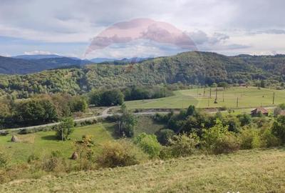 Teren de 3082 mp, în Damiș - 4