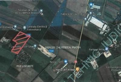 Teren 50000mp Extravilan-Intrare Halchiu-Cod 4486 - 4