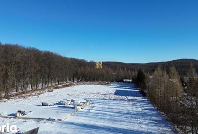 Teren de 9850 mp, în Mitocu Dragomirnei - 9