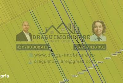 Teren de 75000 mp, în Mazepa 1 - 3