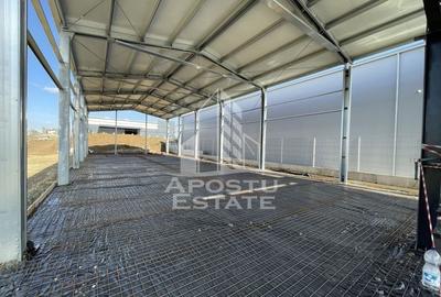 Hala + birouri, 590 mp, Giarmata - 2