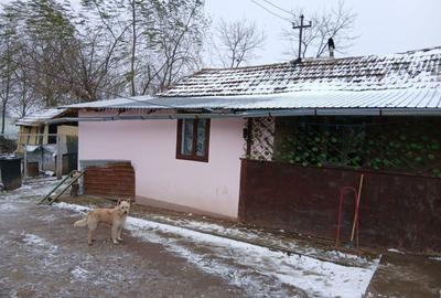 Casă cu 2 camere în Adunați - 4