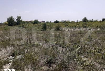 Teren de 6150 mp, în Ciarda Roșie - 5