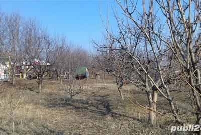 Teren de 2300 mp, în Blidari (Cârligele)