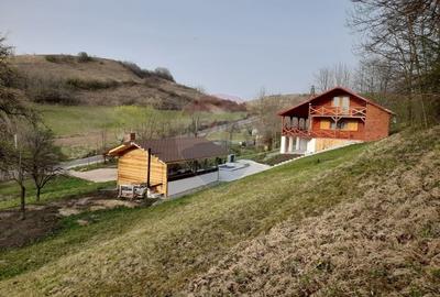 Cabana de vânzare, Valeni - 6