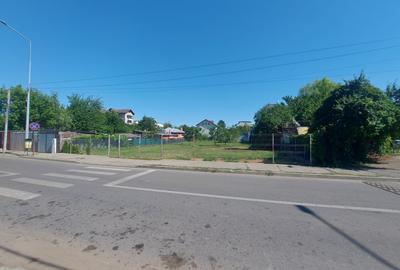 Teren de 700mp cu 24m deschidere situat pe Bd. Laminorului! - 10