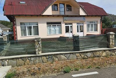 Spațiu comercial, de 300 mp, în Lunca (Vânători-Neamț) - 11
