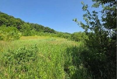 Teren de 2300 mp, în Duda - 1
