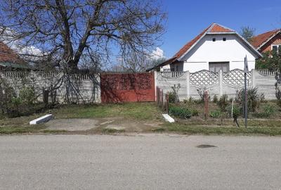 Casă individuală cu 2 camere cu Teren 2489 Mp în Visag - 1