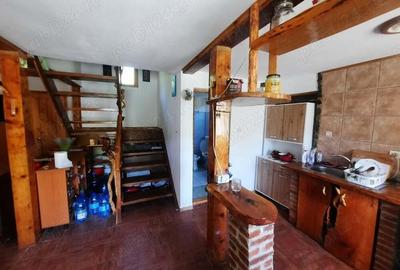 Casuta de vacanta pe Clisura Dunarii in zona Berzasca-Liubcova, teren 1600mp, 2 fronturi - 16