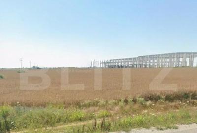 Teren intravilan, 18.802 mp, zona Carcea - 3