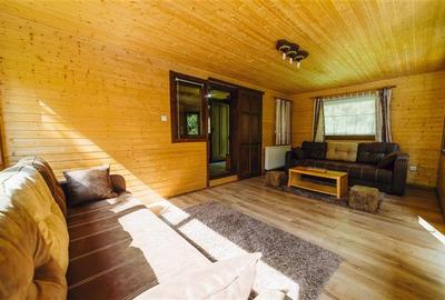 Casa de vacanta (Borzont, jud. Harghita) - 4