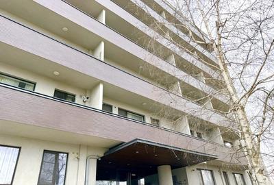 Apartament cu 2 camere decomandat, mobilat în Sisești - 9