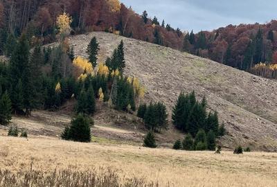 Teren Construcții intravilan de 2.8299999237061 mp, în Poiana Brașov - 1